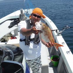 遊漁船 遊友 釣果