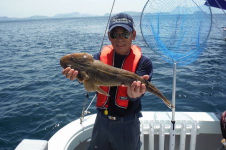 遊漁船 遊友 釣果