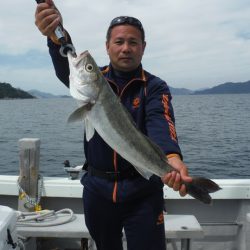 遊漁船 遊友 釣果