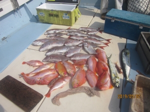 第十八吉栄丸 釣果