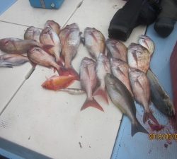 第十八吉栄丸 釣果