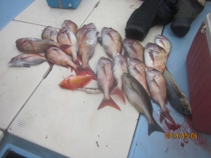 第十八吉栄丸 釣果