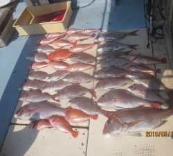 第十八吉栄丸 釣果