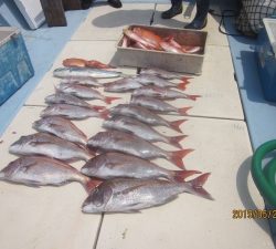 第十八吉栄丸 釣果