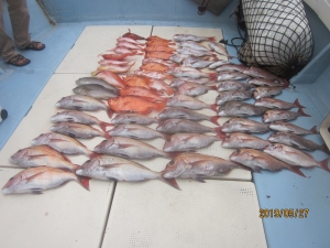 第十八吉栄丸 釣果