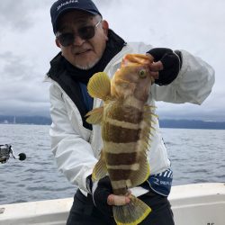 リトルワン 釣果