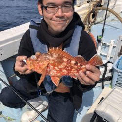 リトルワン 釣果