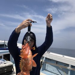 リトルワン 釣果