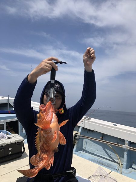 リトルワン 釣果