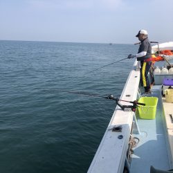 リトルワン 釣果