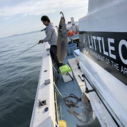 リトルワン 釣果