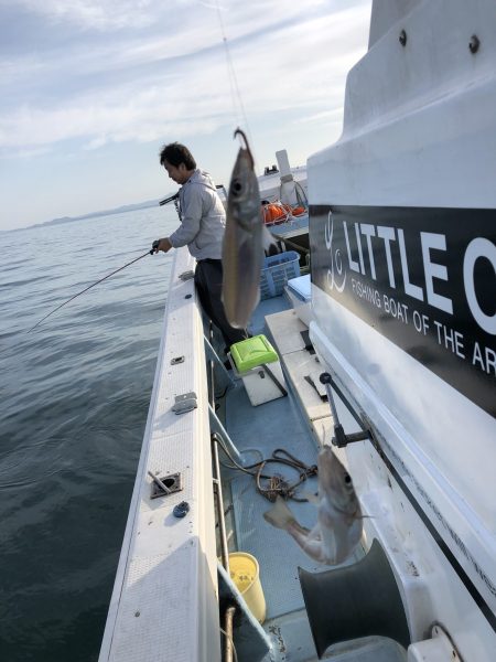 リトルワン 釣果