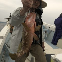 リトルワン 釣果