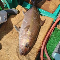 フィッシングハウス伊藤 釣果