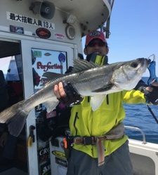 シーモンキー 釣果