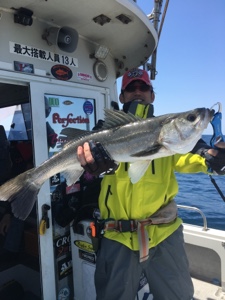 シーモンキー 釣果
