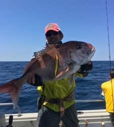 シーモンキー 釣果