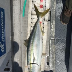 シーモンキー 釣果