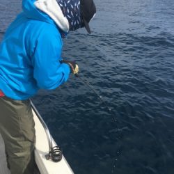 シーモンキー 釣果