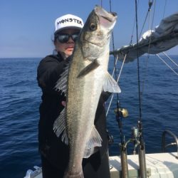 シーモンキー 釣果