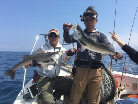 シーモンキー 釣果