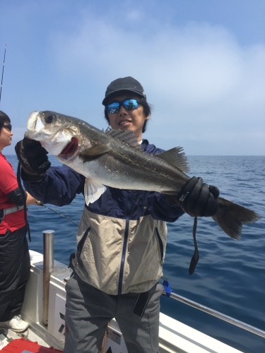 シーモンキー 釣果