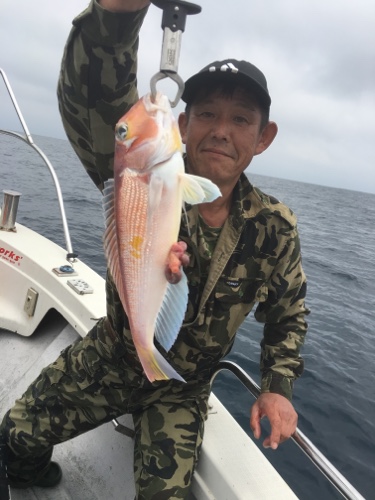 シーモンキー 釣果