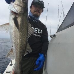 シーモンキー 釣果