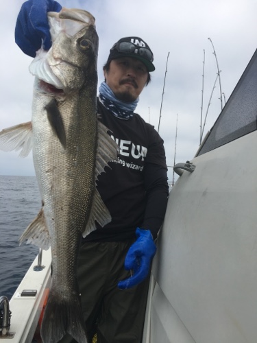 シーモンキー 釣果