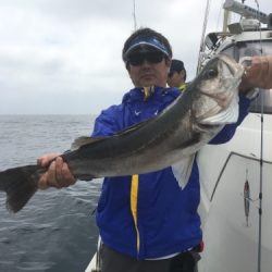 シーモンキー 釣果