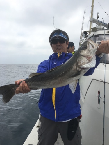 シーモンキー 釣果