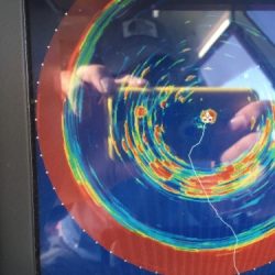 シーモンキー 釣果