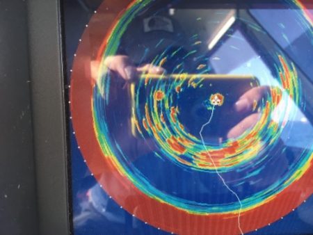 シーモンキー 釣果