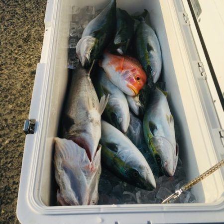 シーモンキー 釣果