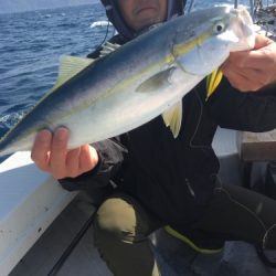 シーモンキー 釣果