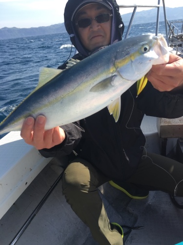 シーモンキー 釣果