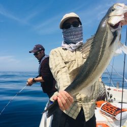 シーモンキー 釣果