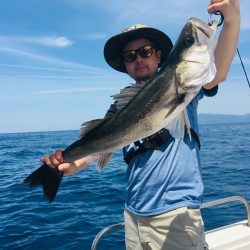 シーモンキー 釣果