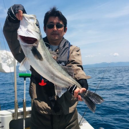 シーモンキー 釣果