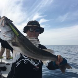 シーモンキー 釣果