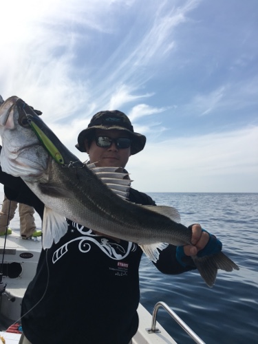 シーモンキー 釣果