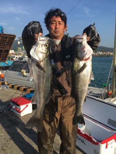 シーモンキー 釣果