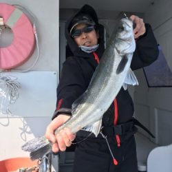 シーモンキー 釣果