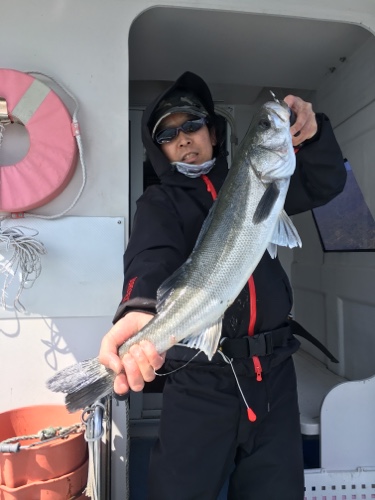 シーモンキー 釣果