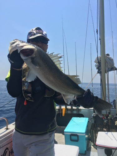 シーモンキー 釣果