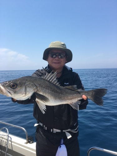 シーモンキー 釣果