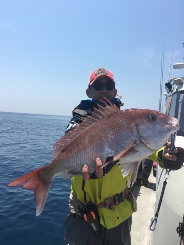 シーモンキー 釣果