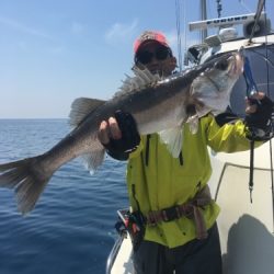 シーモンキー 釣果