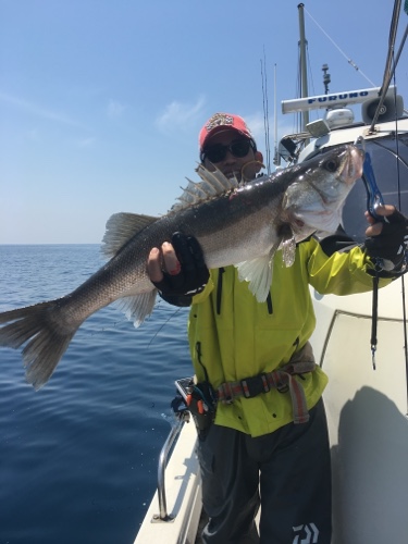 シーモンキー 釣果