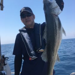 シーモンキー 釣果